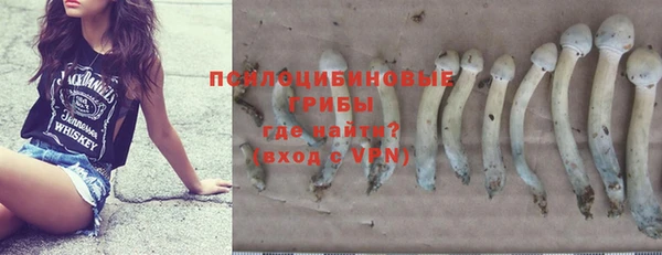 твердый Липки