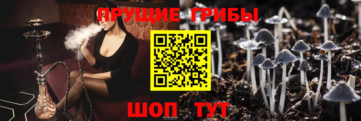 Псилоцибиновые грибы Psilocybine cubensis  Вход с VPN  Ухта  Галлюциногенные грибы мухоморы 